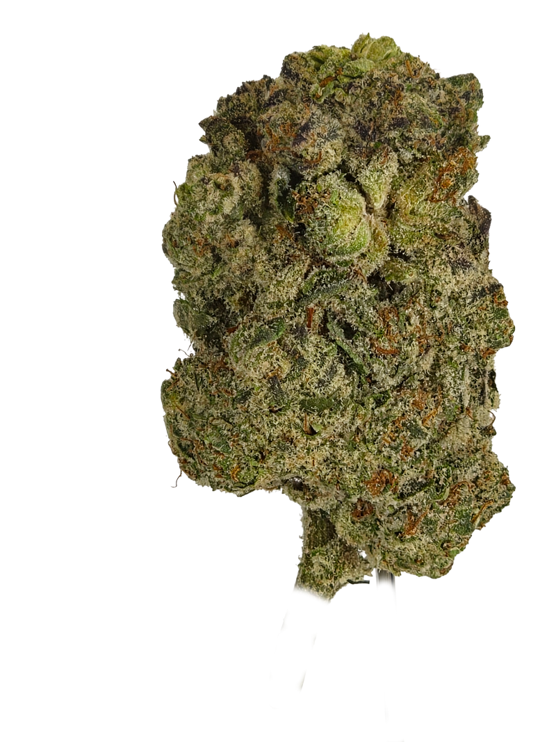 Pure Michigan THCA Flower