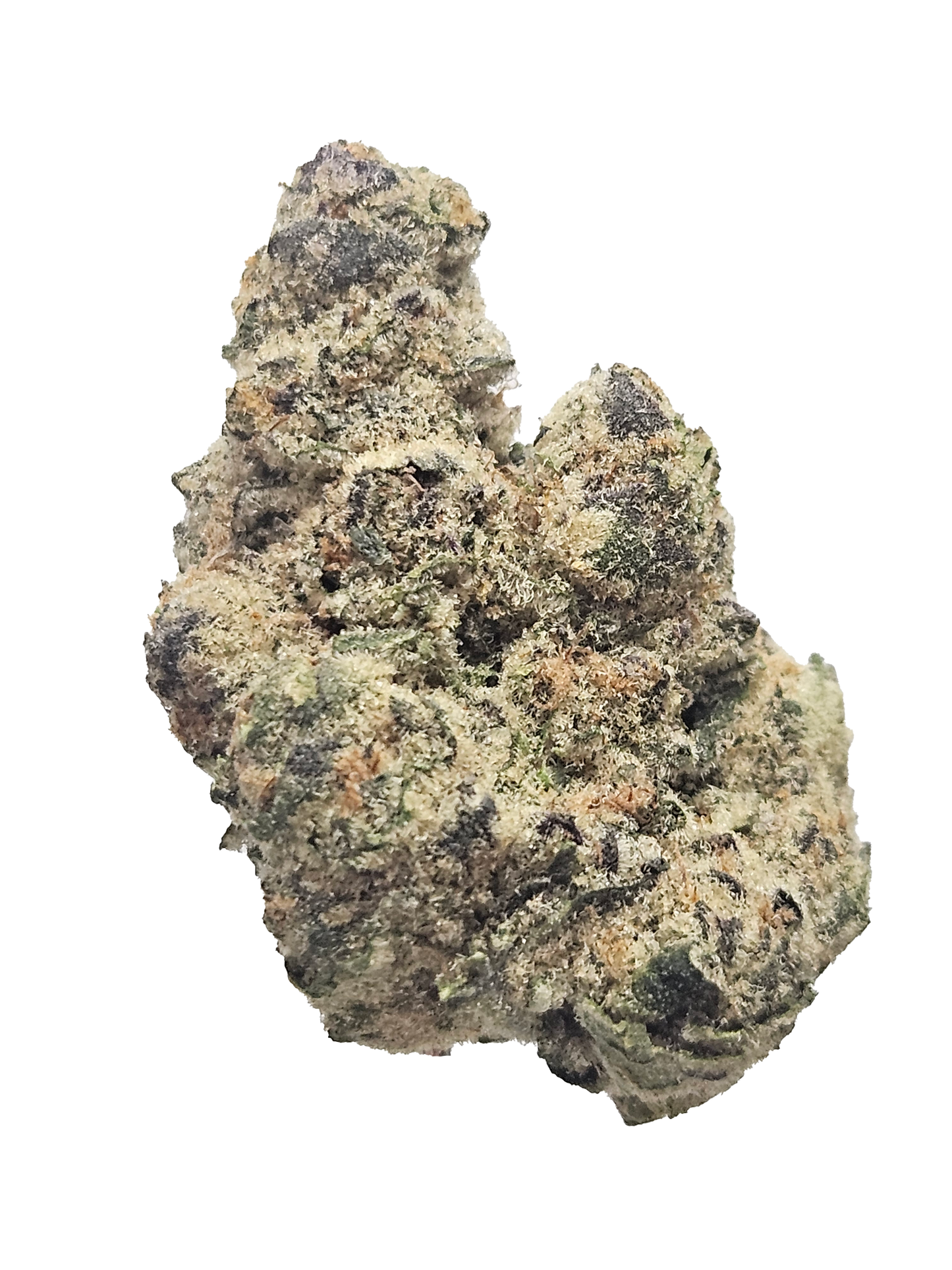 Baccio THCa Flower (50/50 Hybrid)