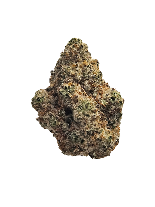 Fozen Biscotti (Hybrid)