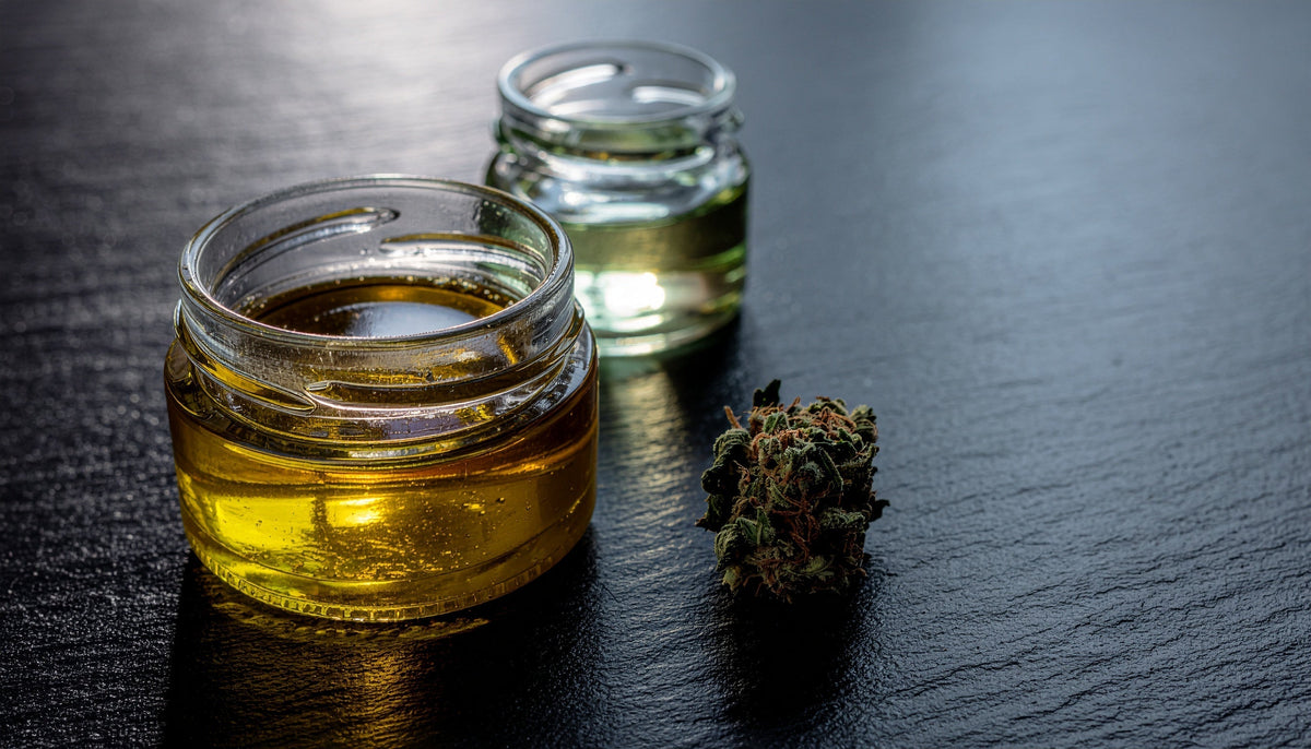 THCA vs THC: Understanding the Key Differences