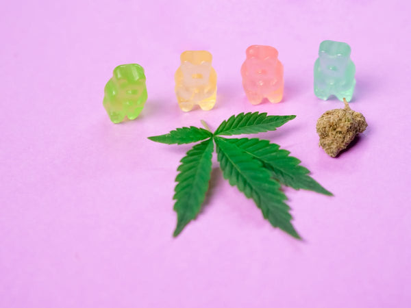 Best Delta 9 Gummies in 2026: Top Picks, Dosing & What to Look For