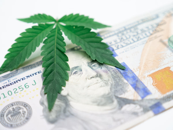 Can You Order THCA Flower Online to Texas in 2026?