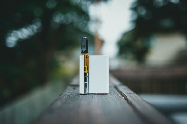 Hemp-Derived Delta 9 Seltzer: The New Way to Enjoy THC