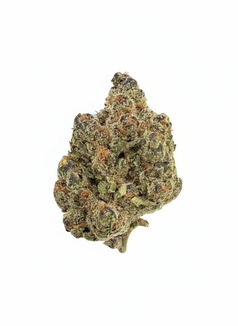 Astro Pie (I) THCA Flower