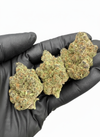 Astro Pie (I) THCA Flower - Image 2