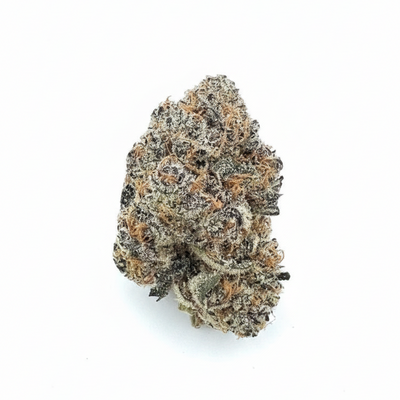 Blue Lobster (I) THCA Flower