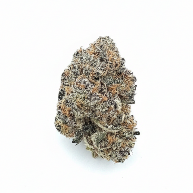 Blue Lobster (I) THCA Flower