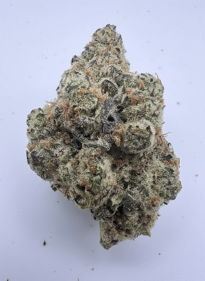 Blue Nerdz (H) THCA Flower