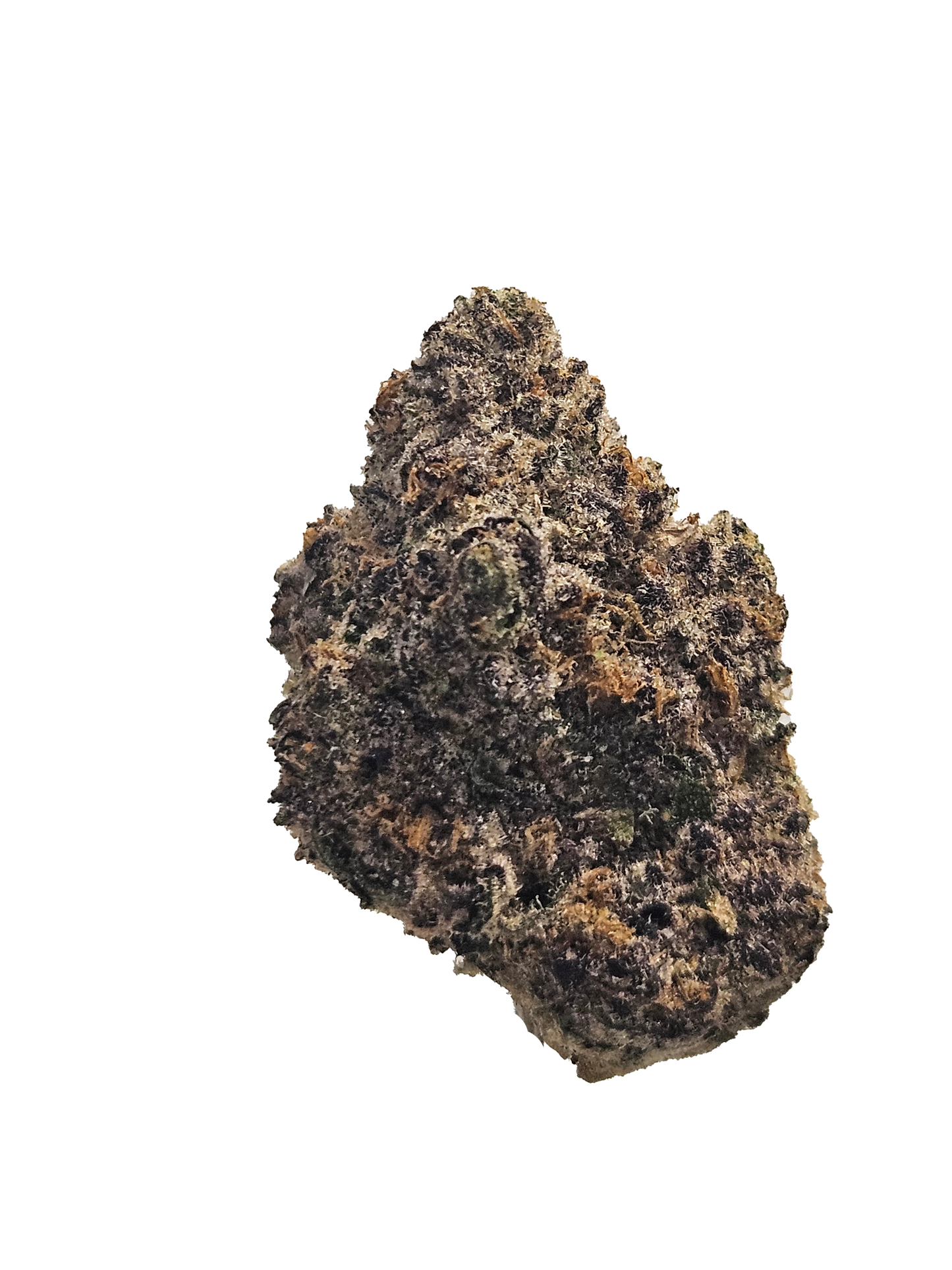 Sour Garlic (Indica)