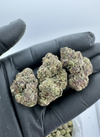Gary Payton (H) THCA Flower - Image 2