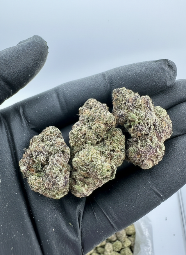 Gary Payton (H) THCA Flower