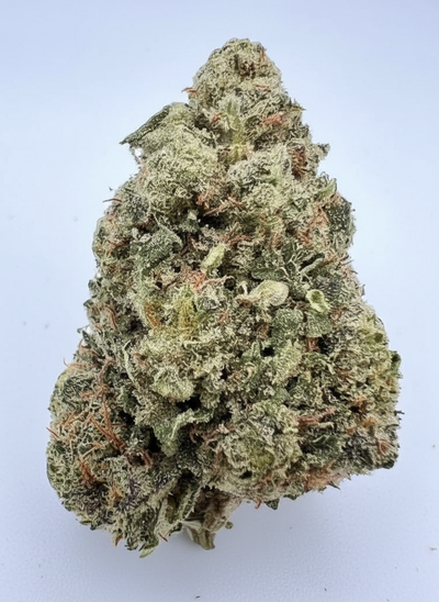 Key Lime Jack (H) THCA Flower