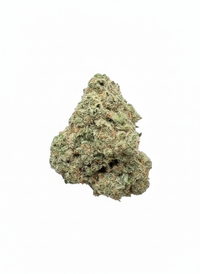 Sherbanger (H) Value THCA Flower