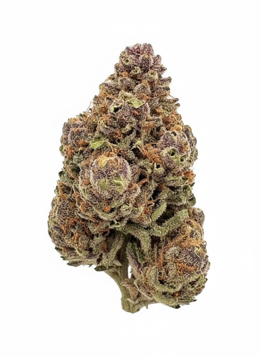 Tropicana Cherry Cookies (S) Value THCA Flower