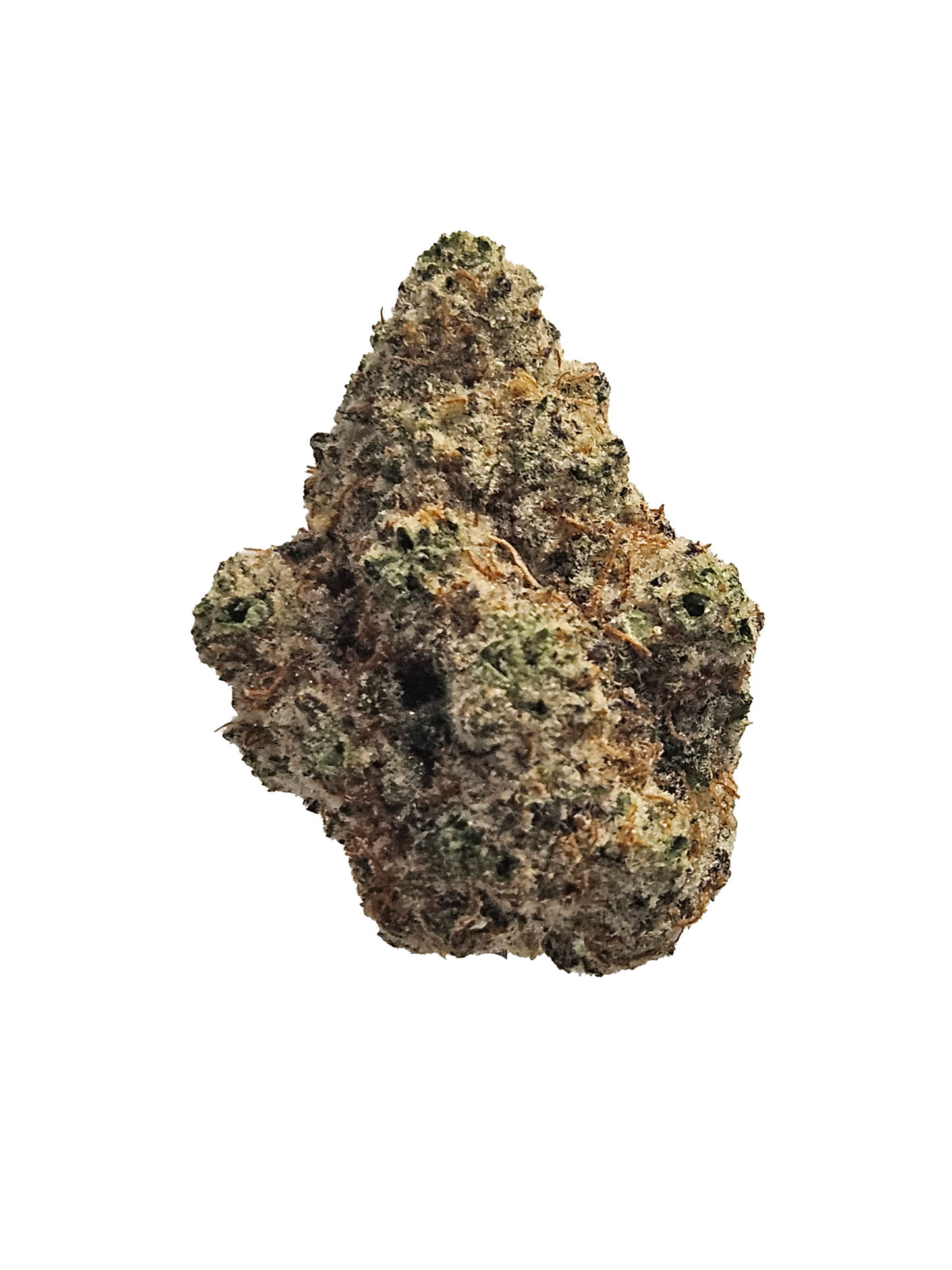 Fozen Biscotti (Hybrid)
